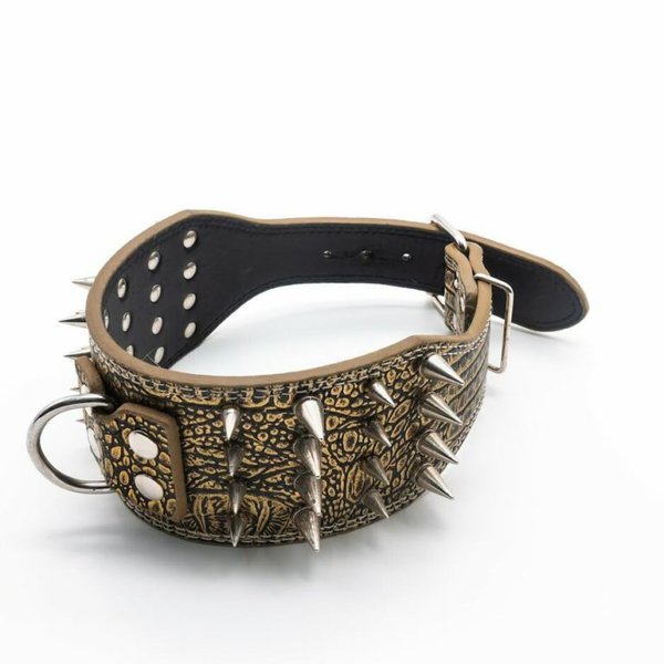 Dogs Kingdom Leather Black Spiked Studded Dog Collar 2 Wide Boxer Collar 31 Spikes 52 Studdeds Pit Bull