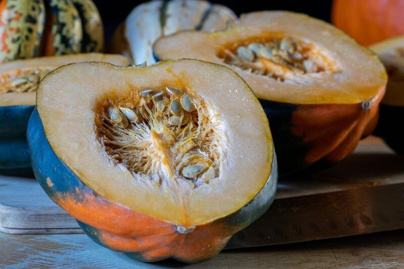 Can Dogs Eat Acorn Squash? Here's Why They Should The Goody Pet