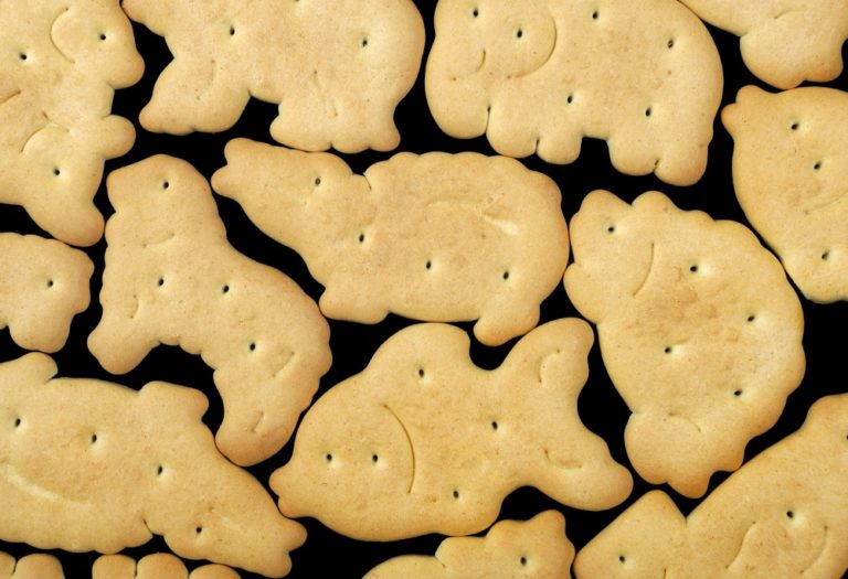 Can Dogs Eat Animal Crackers? Only In Moderation The Goody Pet