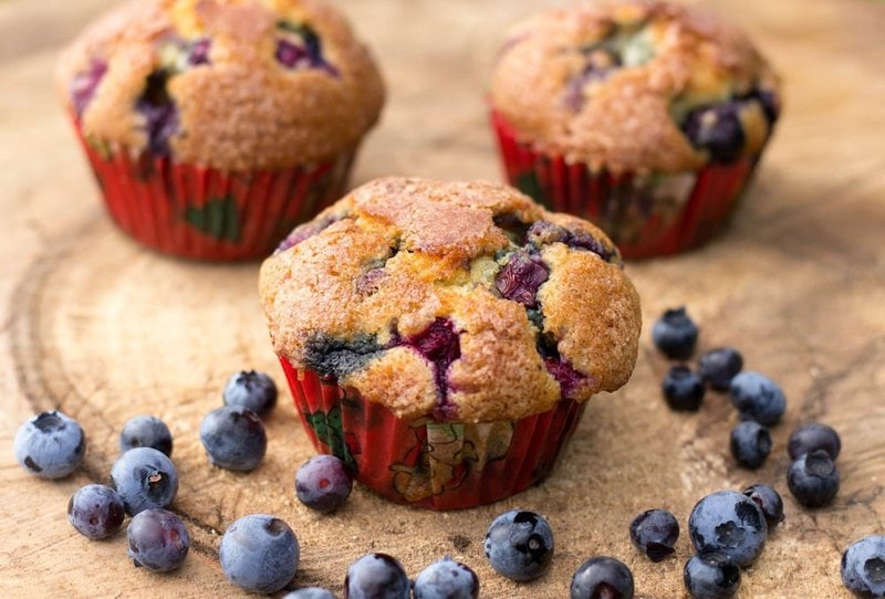 Can Dogs Eat Blueberry Muffins? Absolutely Not! Avoid Those Made For