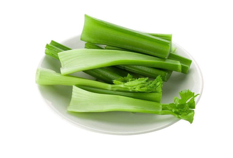 can greyhounds eat celery