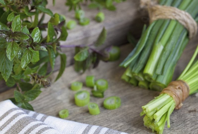 Can Dogs Eat Chives? No! Avoid At All Costs The Goody Pet