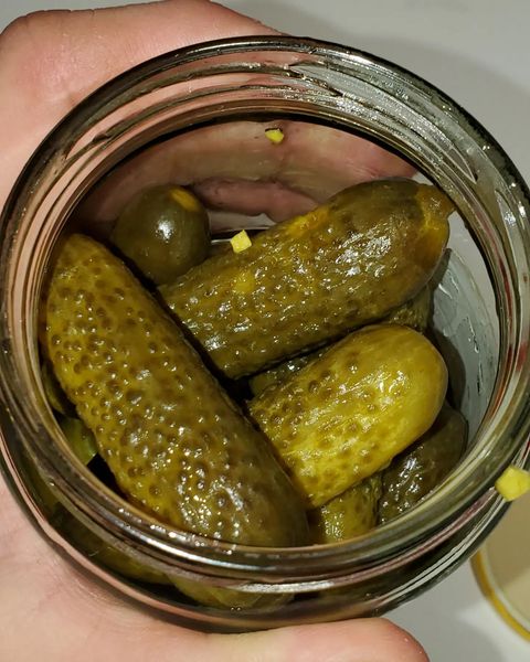 are sweet pickles good for dogs