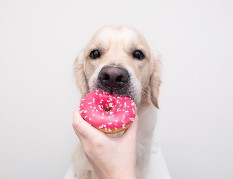 Can Dogs Eat Donuts? Uncovering All The Dangers This Seemingly Harmless