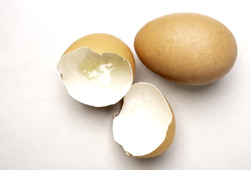 Will Eggshells Hurt My Dog