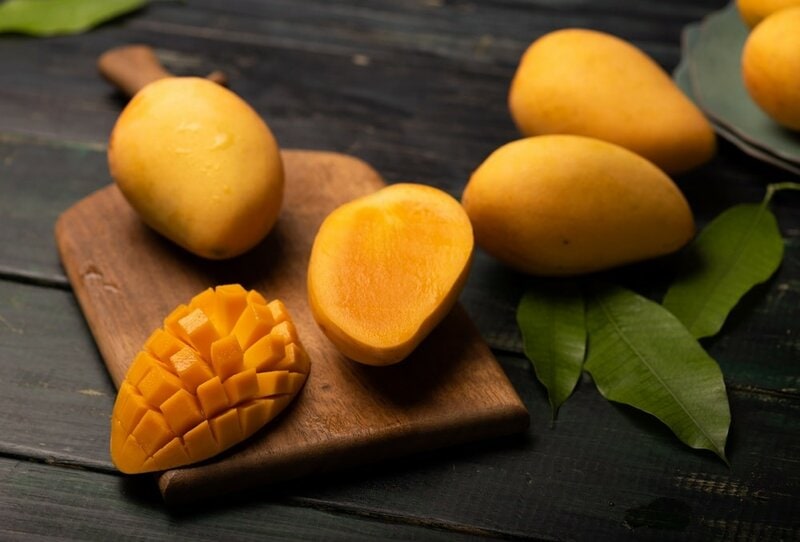 dog swallowed mango seed