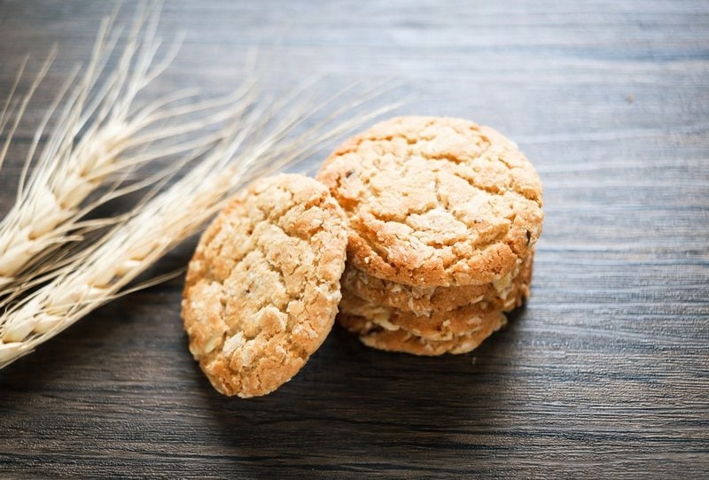 Can Dogs Eat Oatmeal Cookies? Here's Why They Should Avoid The Goody Pet