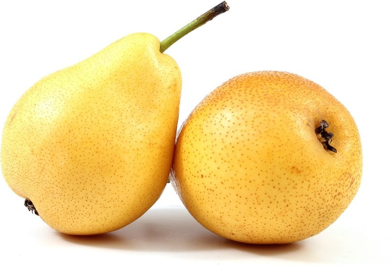 Can Dogs Eat Pears? What About Asian Pears? The Goody Pet