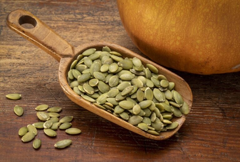 Can Dogs Have Pumpkin Seeds? 3 Reasons Why They Are Beneficial The