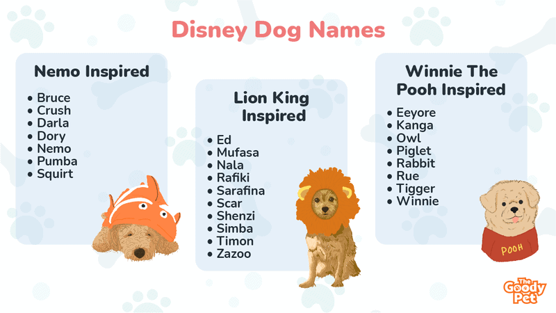 210 Disney Dog Names That Put A Smile On Every Child\'s Face - The ...