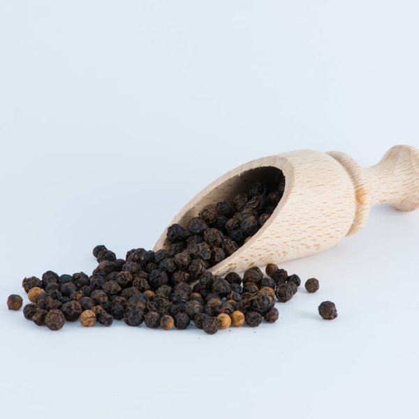 Can Dogs Eat Black Pepper? Here Are The 4 Reasons Why They Can The