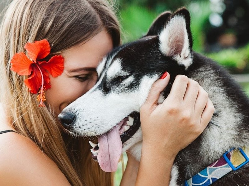 how dogs show each other affection