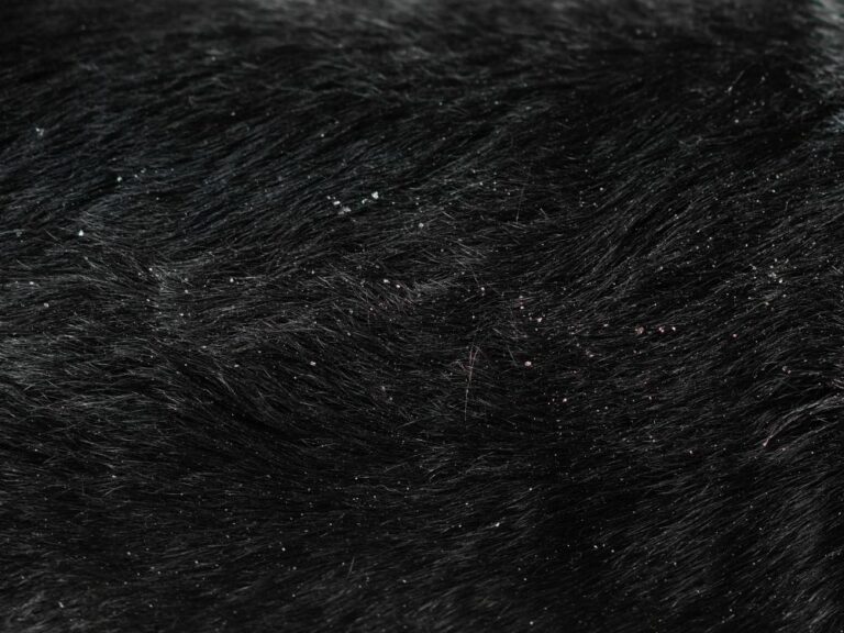 Dog Dandruff Causes & How To Control It TheGoodyPet The Goody Pet