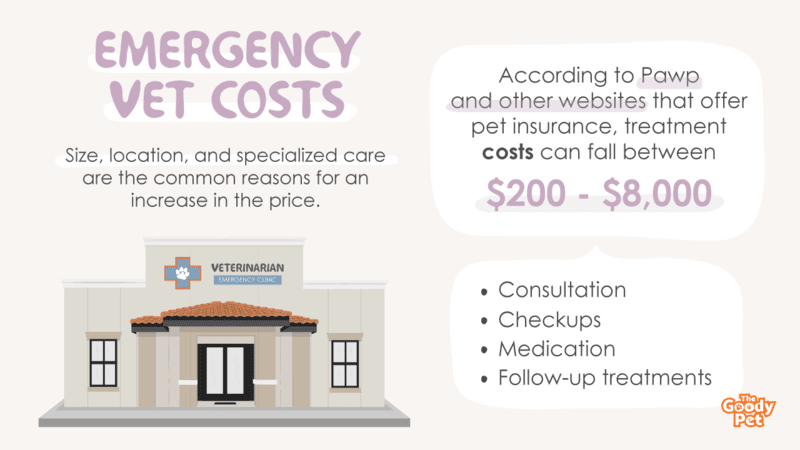 standard er visit cost