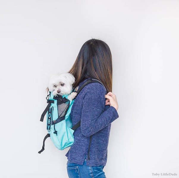 ✓Top 5 Best Airline Approved Pet Carriers Review in 2023 