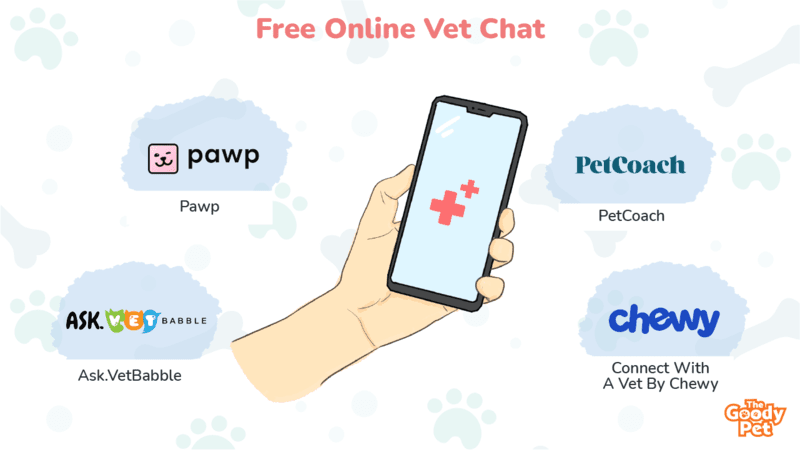 Ask a shop vet free