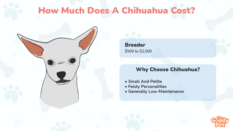 how much does dog cost per month