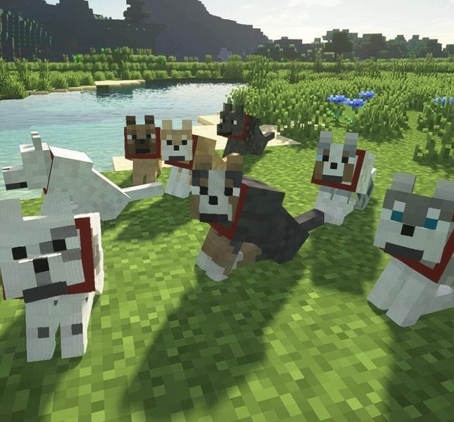 239 Minecraft Dog Names That Will Put A Smile On Steve - The Goody Pet