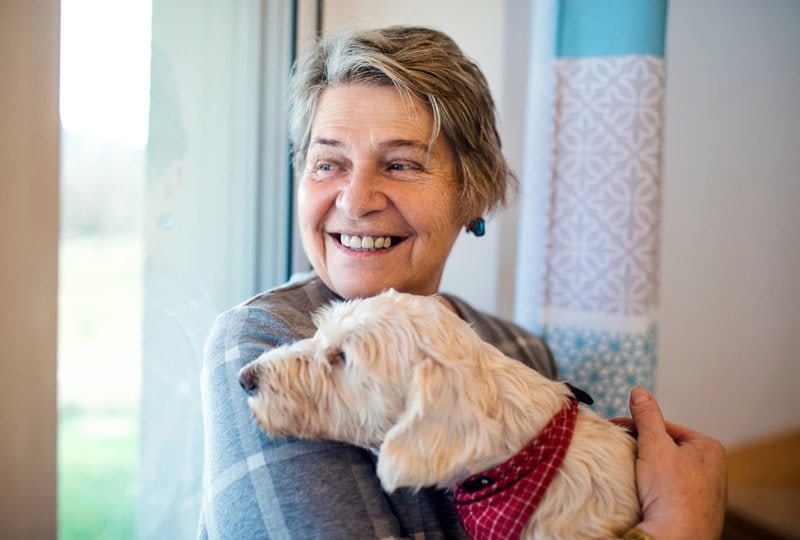 230 Old Lady Dog Names For The Charming Ones Among The Elderly The 230-old-lady-dog-names-for-the-charming-ones-among-the-elderly-the