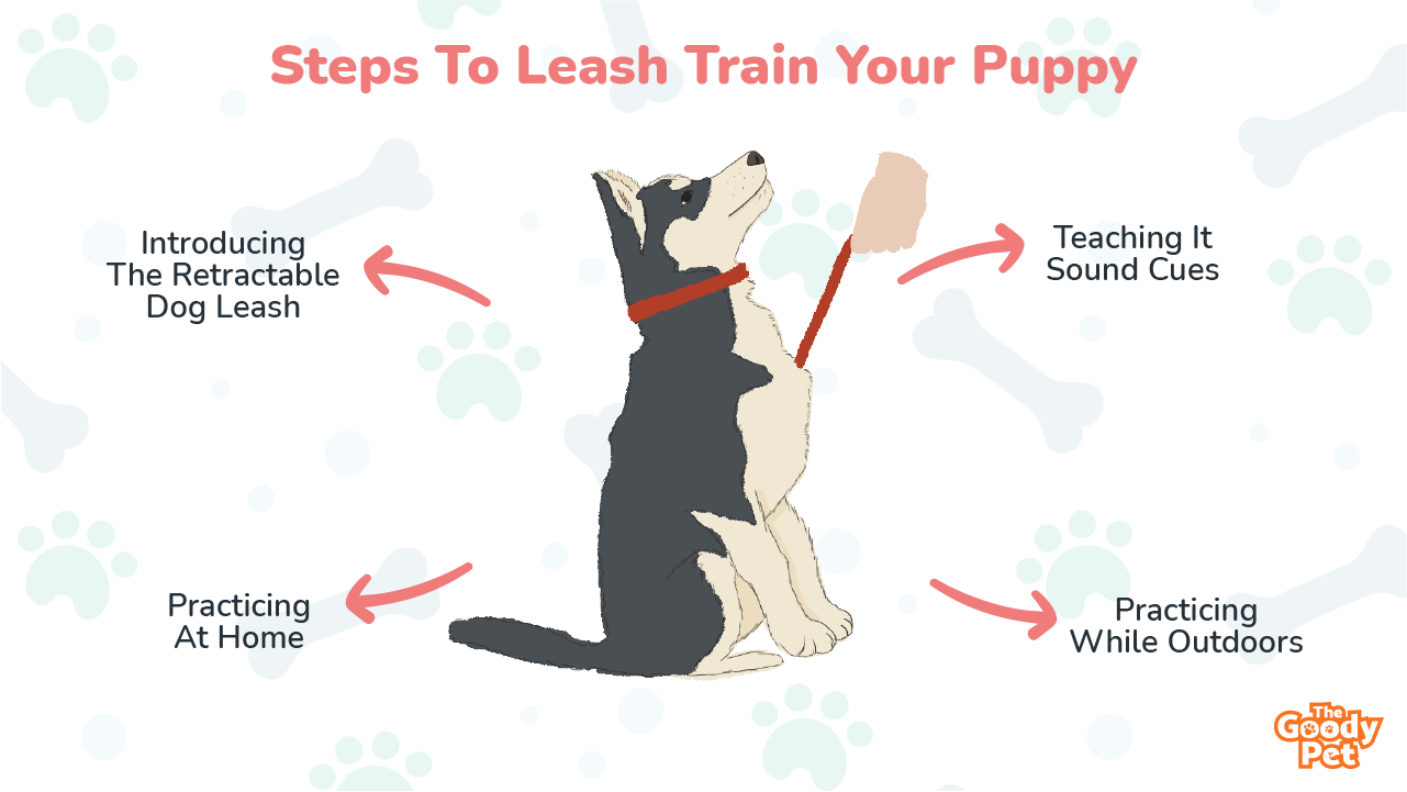 how old should a puppy be to train
