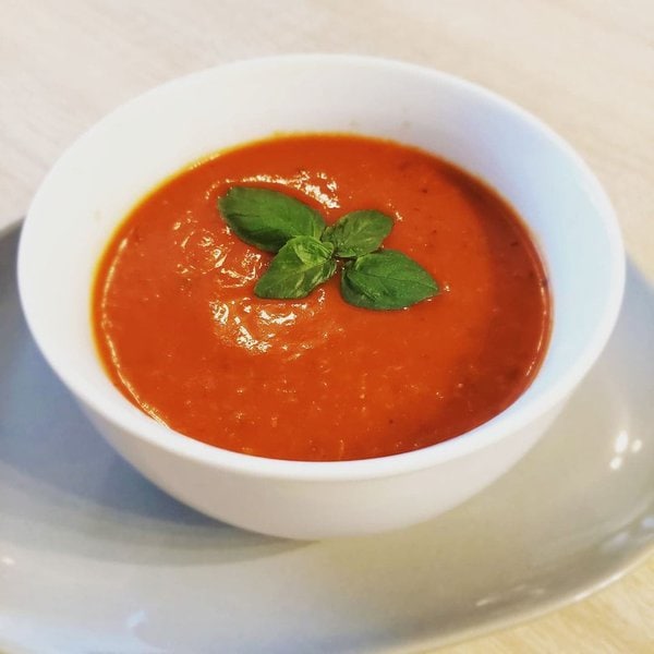 Can Dogs Eat Tomato Soup? Here's Why They Can't The Goody Pet