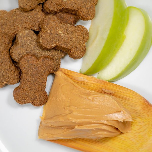 Can Dogs Eat Sugar Cookies? Here's Why They Should Not The Goody Pet
