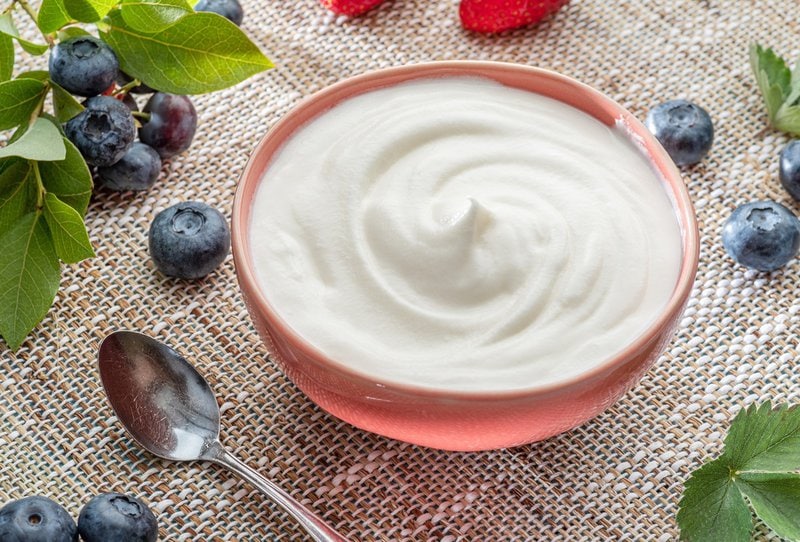 best greek yogurt for dogs