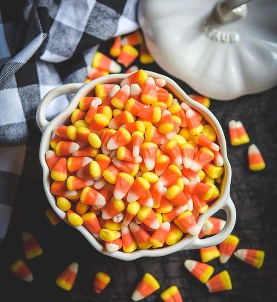 Can Dogs Eat Candy Corn? Here's Why They Should Avoid, Especially