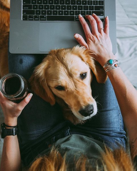 Why Do Dogs Sit On Your Feet? And What You Should Do When It Happens