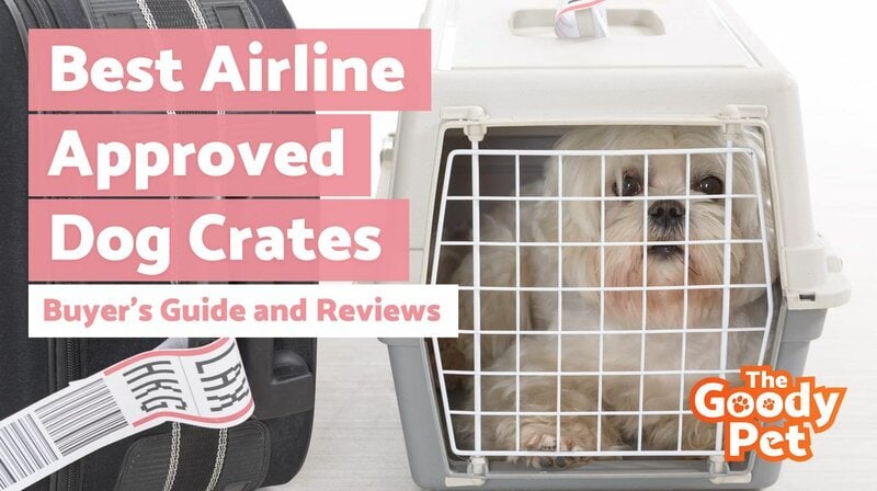 dog travel crate iata