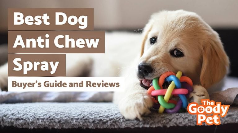 what is the best anti chew spray for dogs