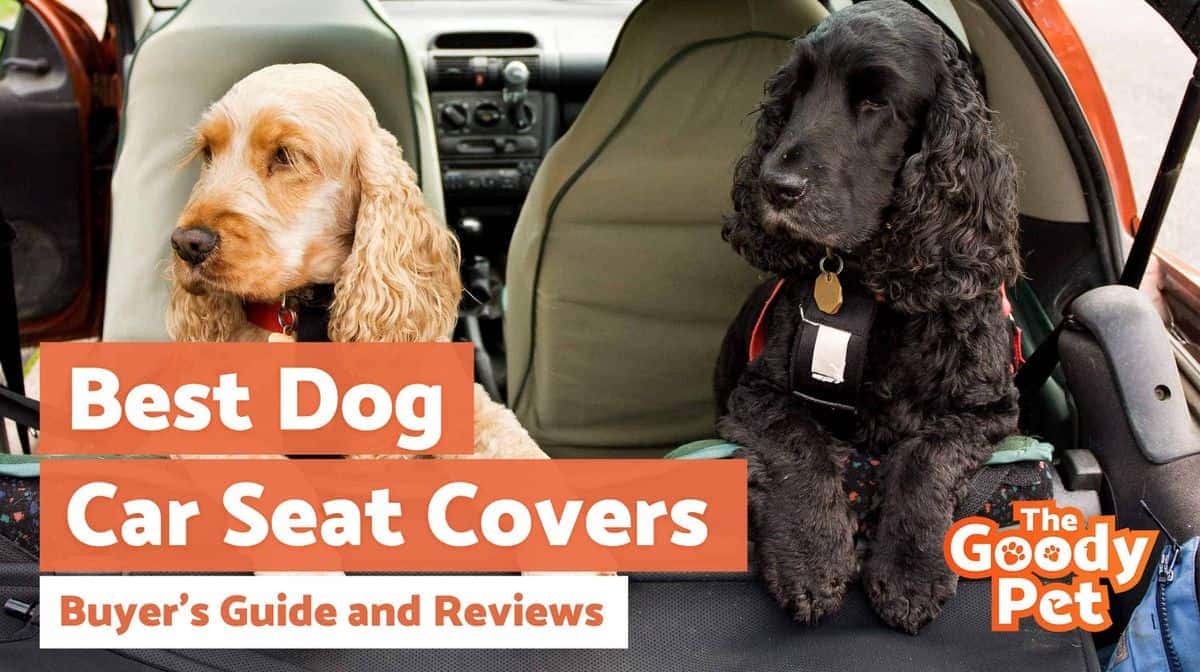 The 10 Best Dog Seat Covers of 2024, Tested and Reviewed