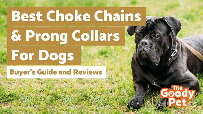 Classic Stainless Steel Choke Pinch Dog Chain Collar with Comfort Tips M-19.7, Silver 5 Dog Prong Collar 