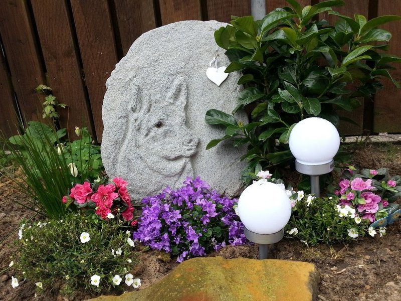 Cost Of Dog Cremation 2022 Types, Prices [+ FAQs] The Goody Pet