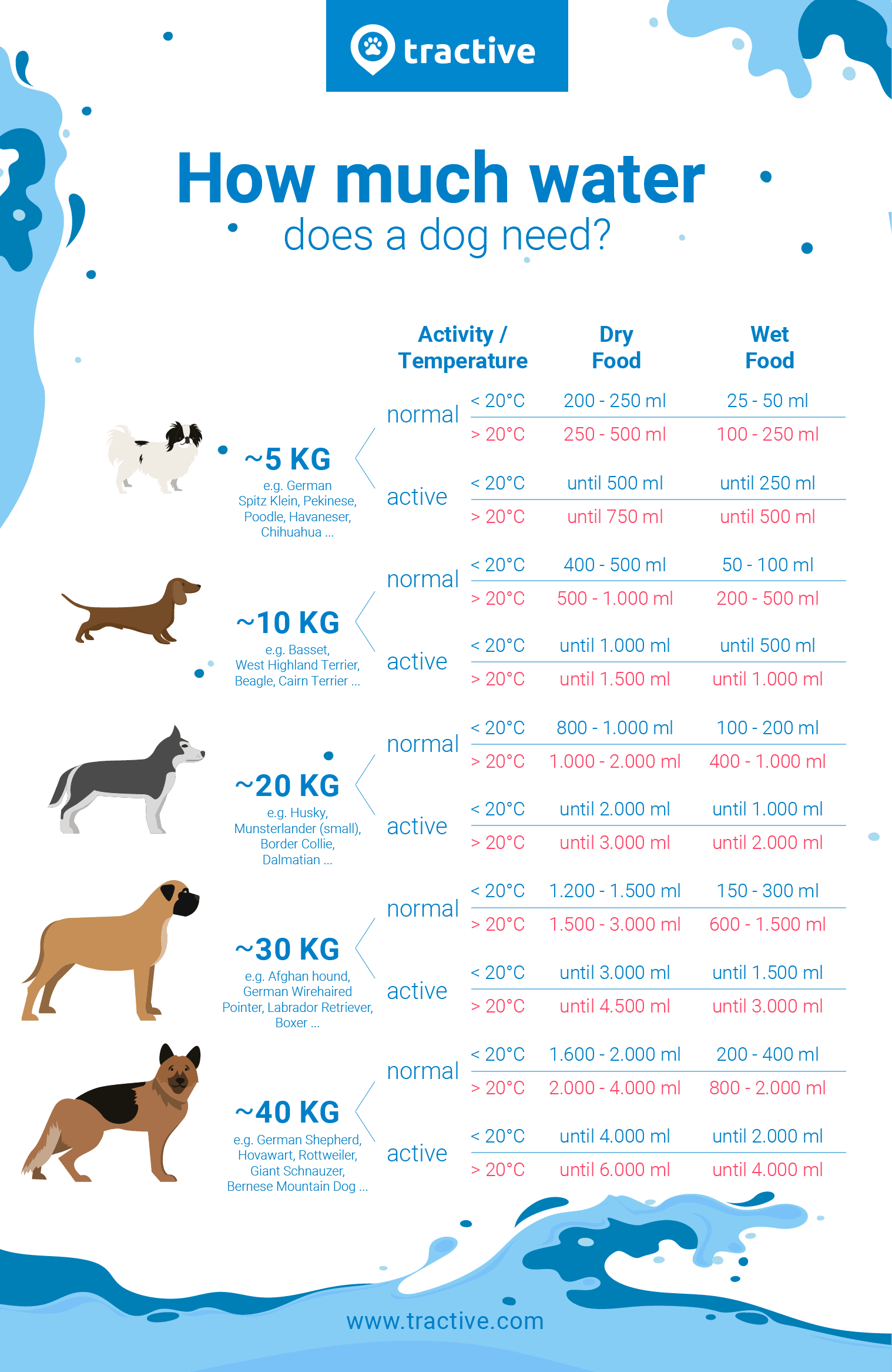 The Surprising Wet vs Dry Dog Food Differences The Goody Pet