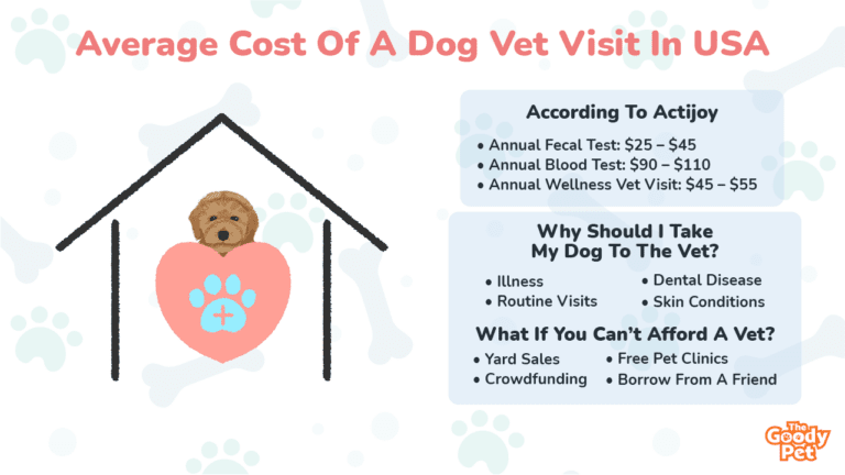 average cost for vet office visit