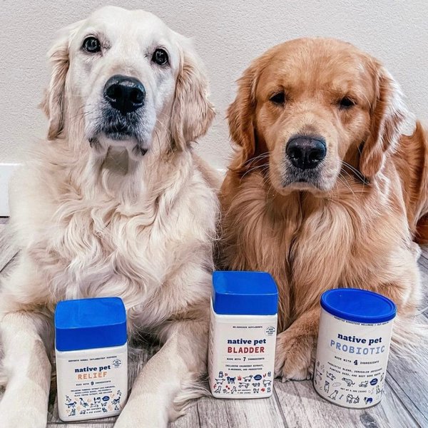 7 Best Dog Foods For Golden Retriever (January 2024 Reviews) The