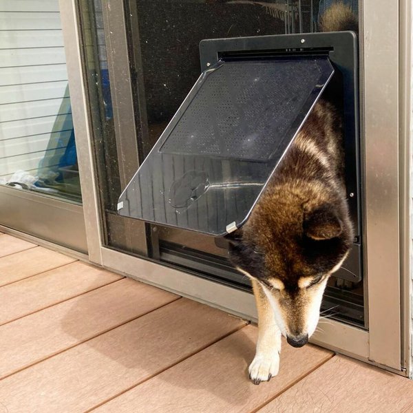7 Best Electronic Dog Doors (May 2022 Reviews) The Goody Pet
