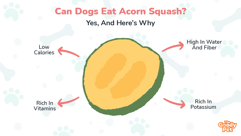 Can dogs eat deals acorn squash