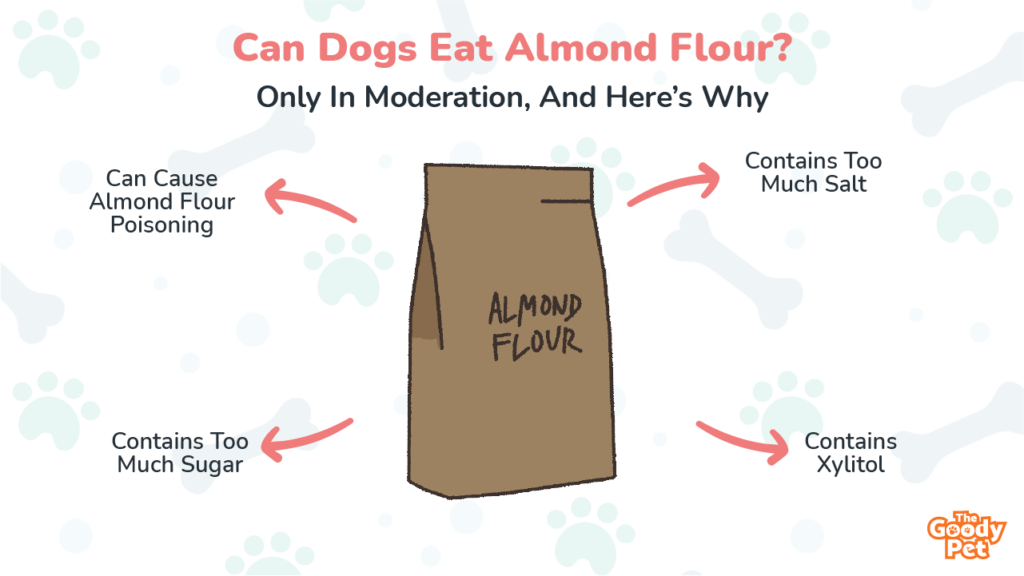 Can Dogs Eat Almond Flour? Is It Safe? The Goody Pet