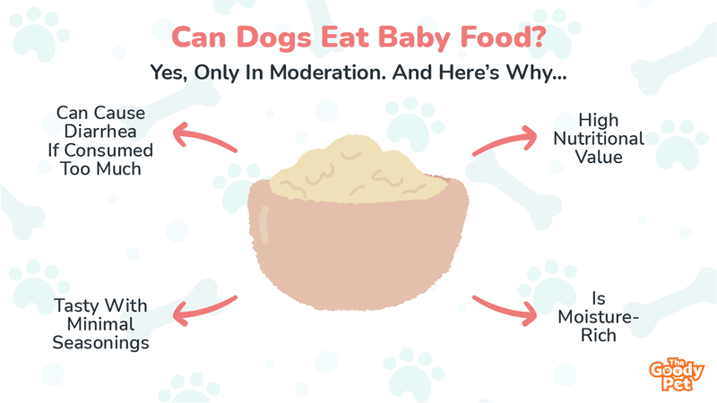 will a dog eat a baby