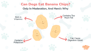 do banana peels make dogs sick