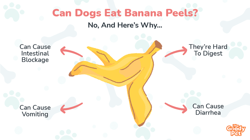 do banana peels make dogs sick