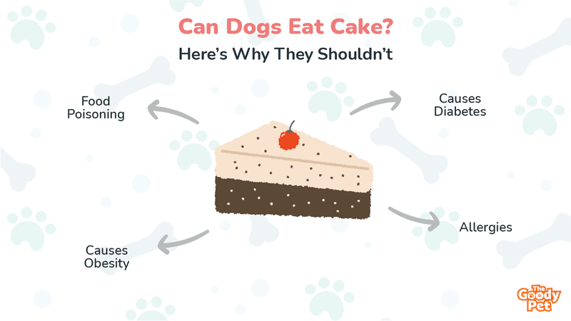 are dogs allowed to eat cake