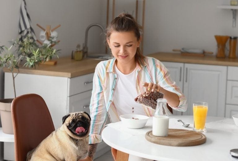 Can Dogs Eat Cereal? Yes, But… The Goody Pet