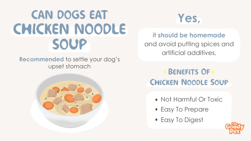 Can Dogs Eat Chicken Noodle Soup Here s Why They Should Have This Dish Homemade The Goody Pet