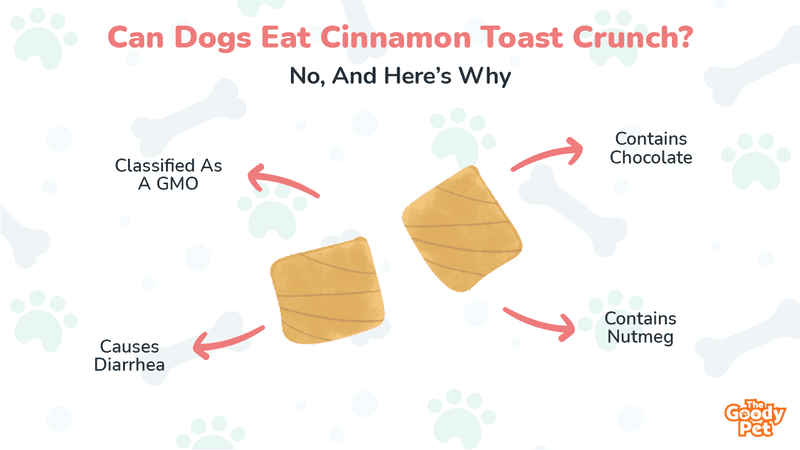 Can Dogs Eat Cinnamon Toast Crunch? Here's Why They Can't