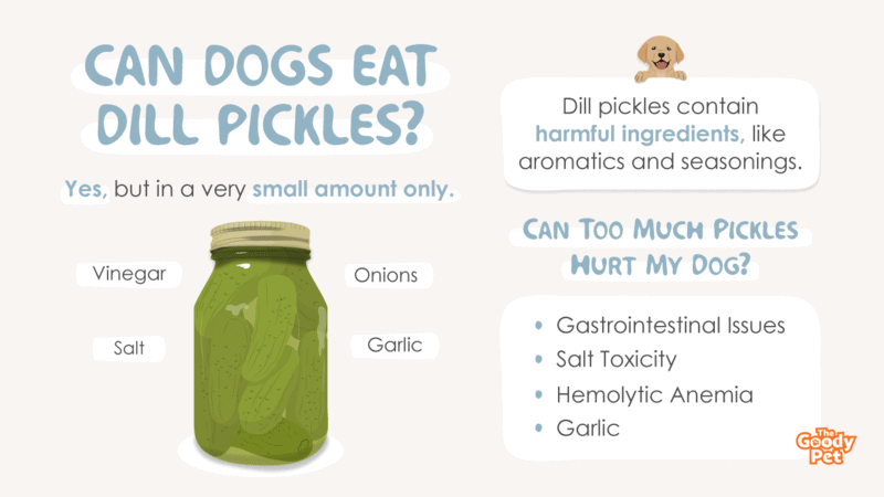 Can Dogs Eat Dill Pickles What About Kosher Pickles The Goody Pet