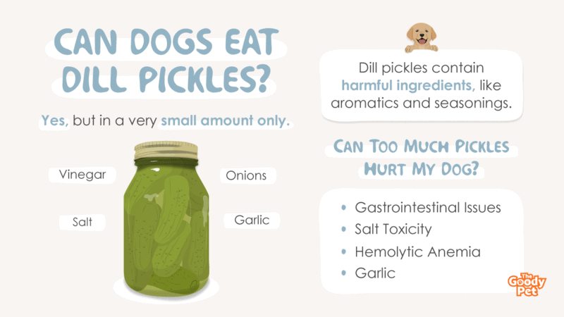 are sweet pickles good for dogs