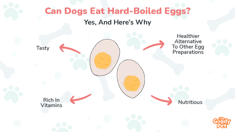 are hard boiled eggs bad for dogs